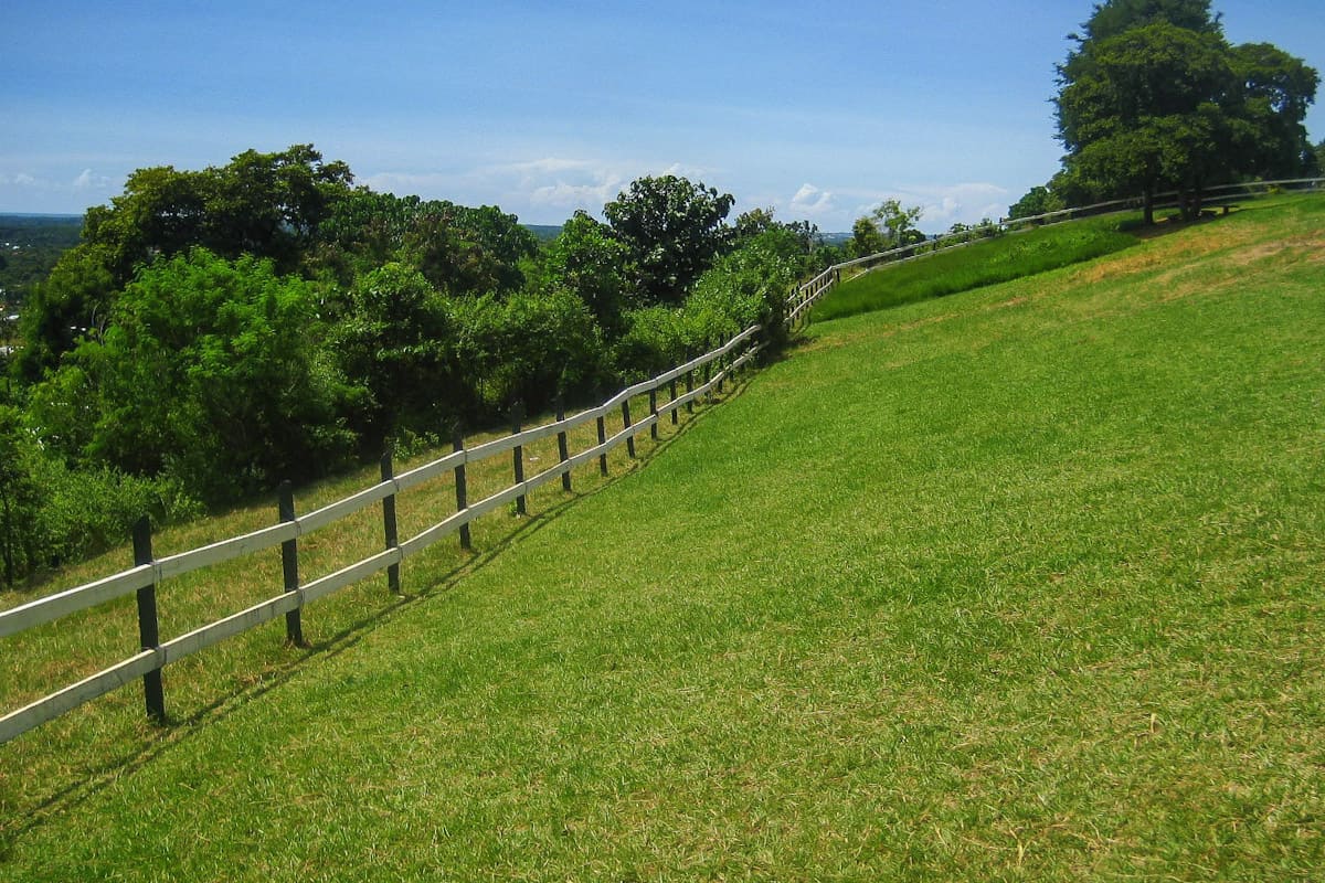 mitra's ranch fences