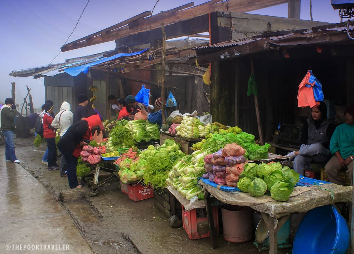 bontoc vegetables