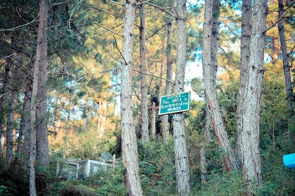 sagada graveyard