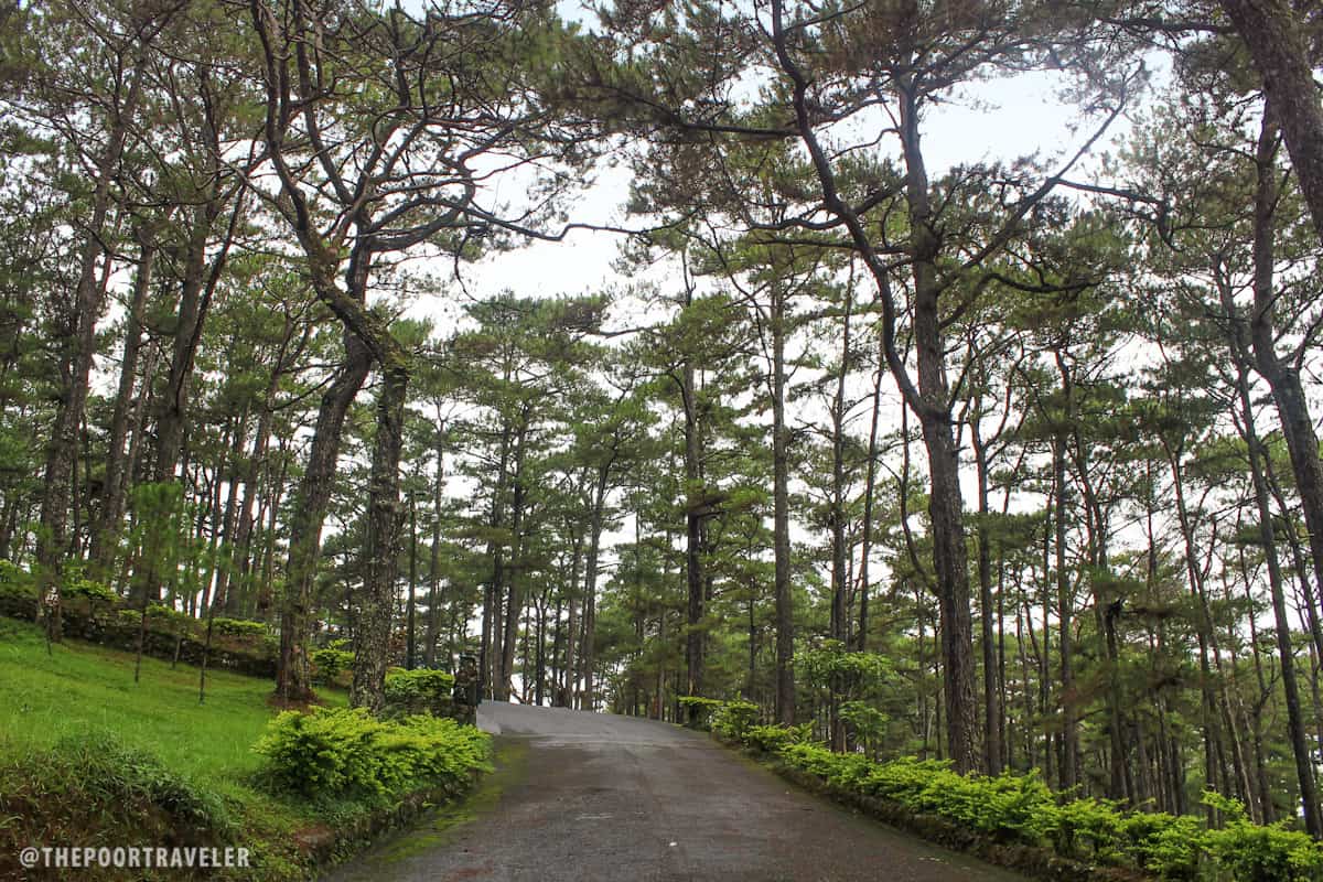 7 Things To Do At Camp John Hay Baguio City The Poor Traveler Blog Camp John Hay