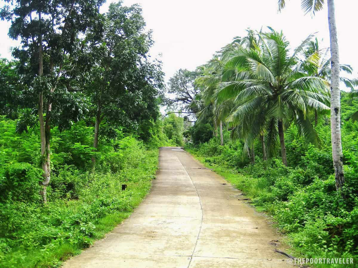 Forest Guimaras