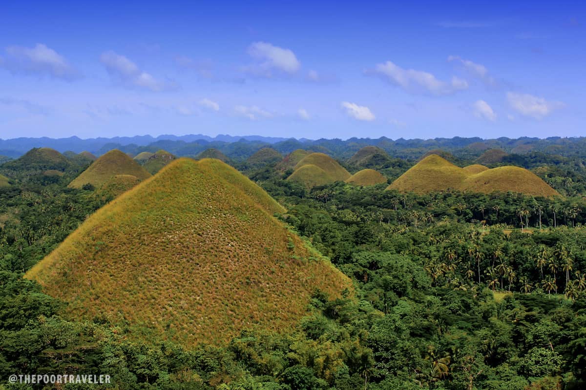 The Chocolate Hills