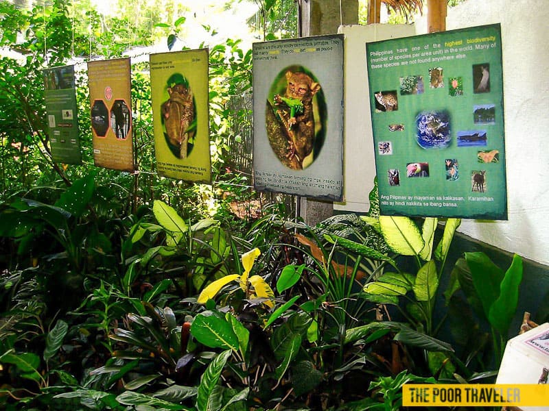 simply butterfly conservation center bohol charts