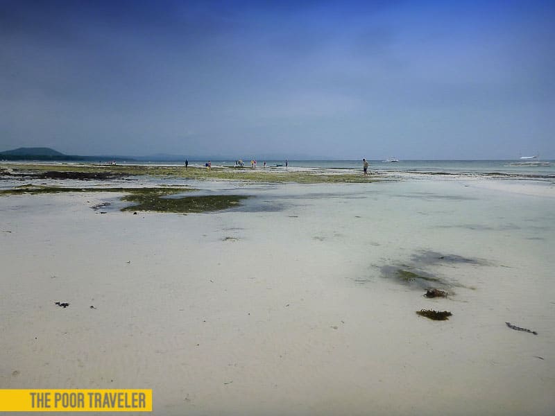 The shallow, grassy, but fine fine beach of Bagobo