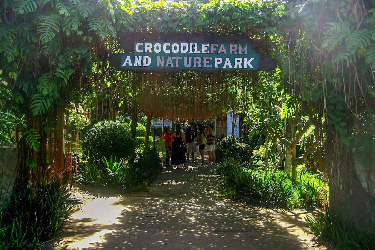 puerto princesa crocodile farm – the pauses between