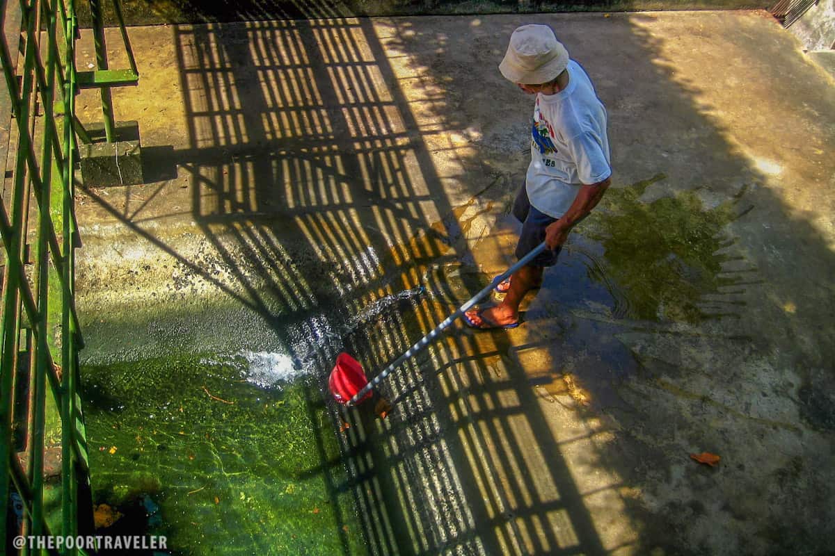 crocodile farming institute caretaker