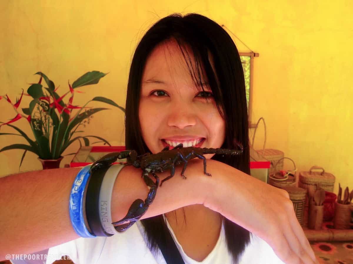 malay giant scorpion