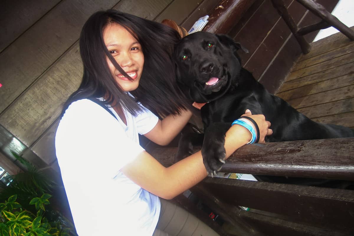 mitra's ranch dog