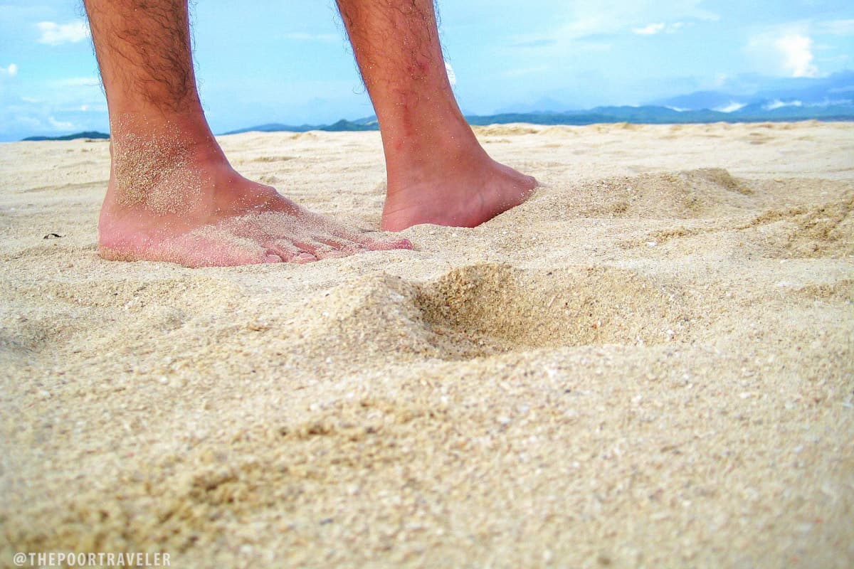 starfish island sand