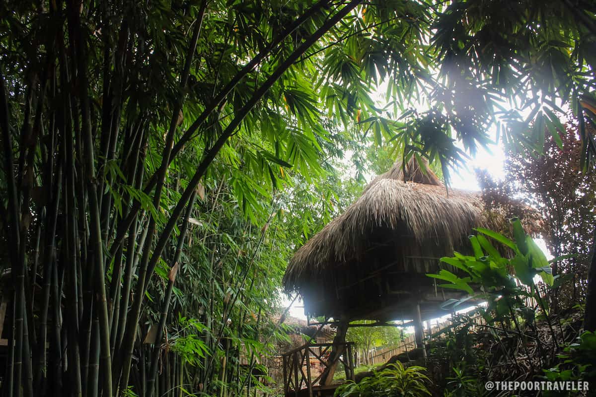 A replica of an indigenous house.