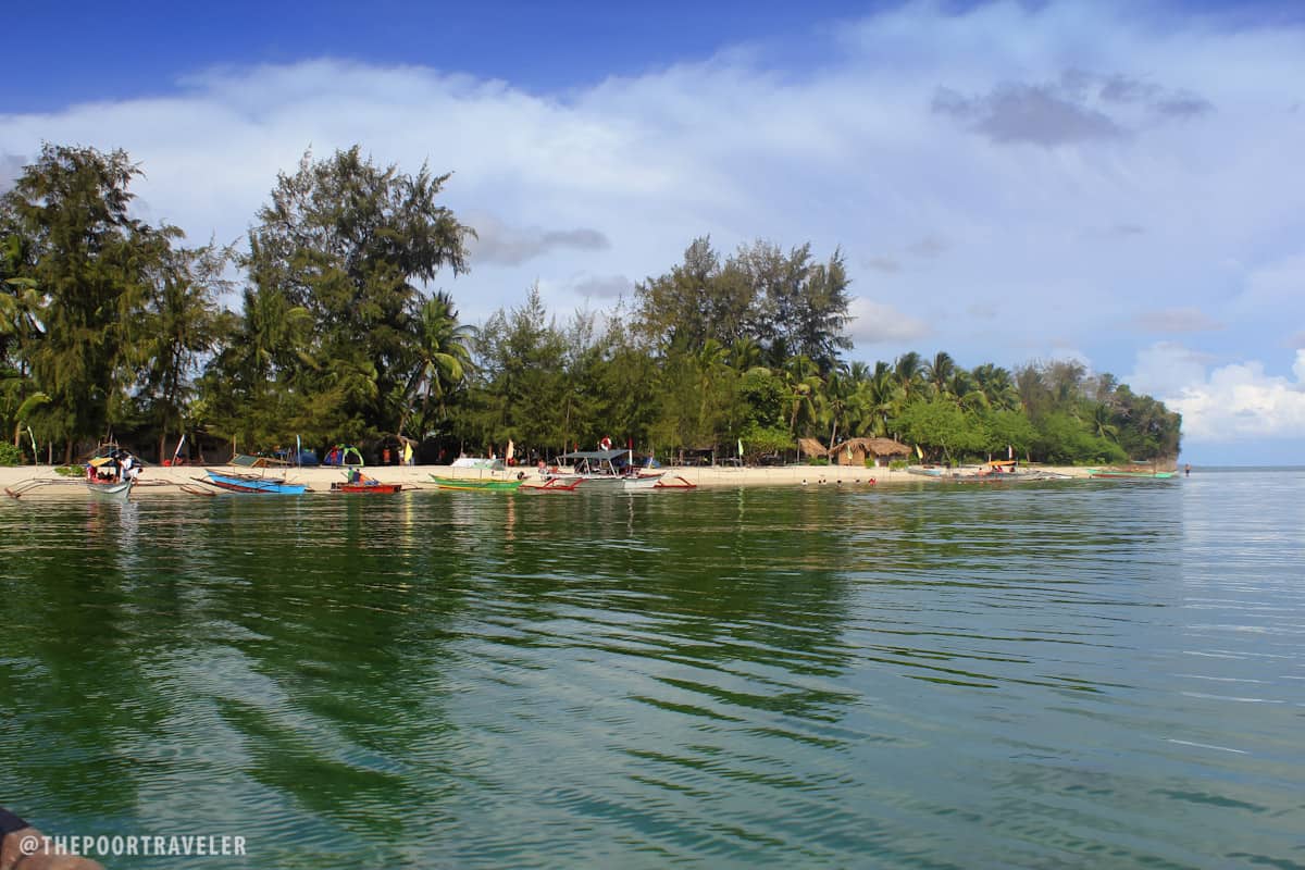 Casuarinas of Dampalitan Beach