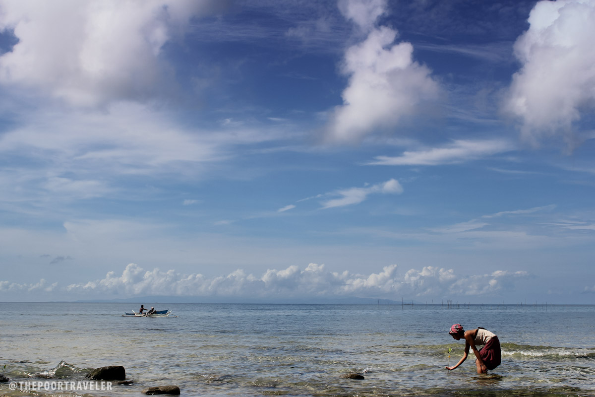 dampalitan island