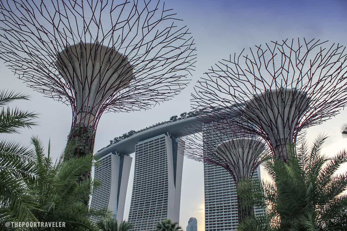 Singapore Super Trees