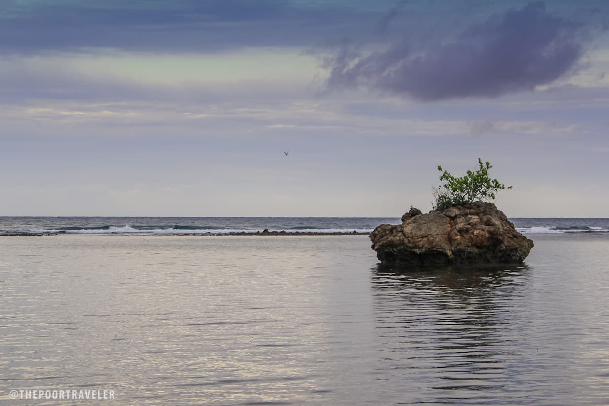 Danjugan Island in Cauayan, Negros Occidental