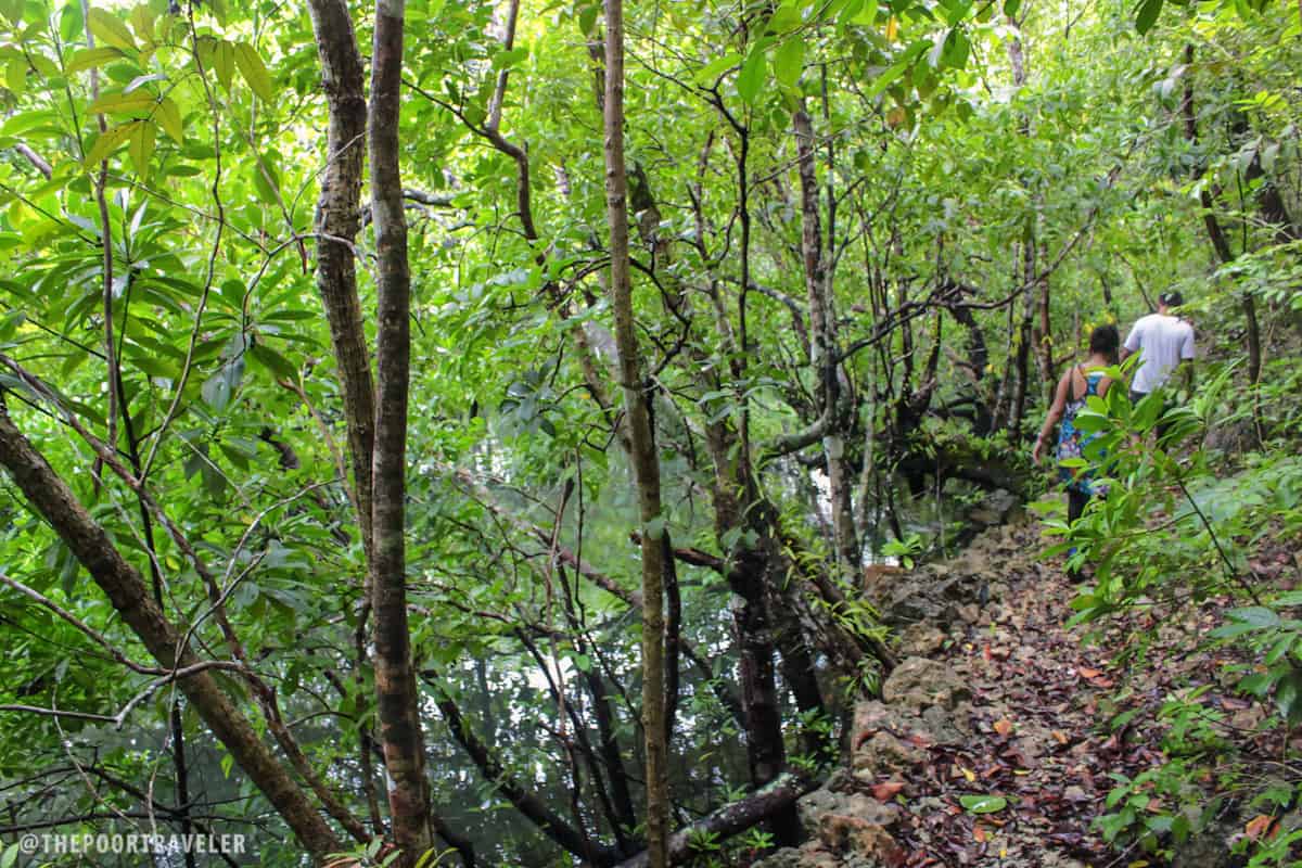 Through the lush jungle of Danjugan Island