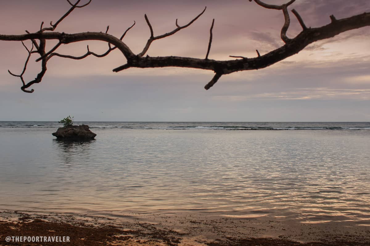 A rock islet close to Turtle Beach where seagulls build nests