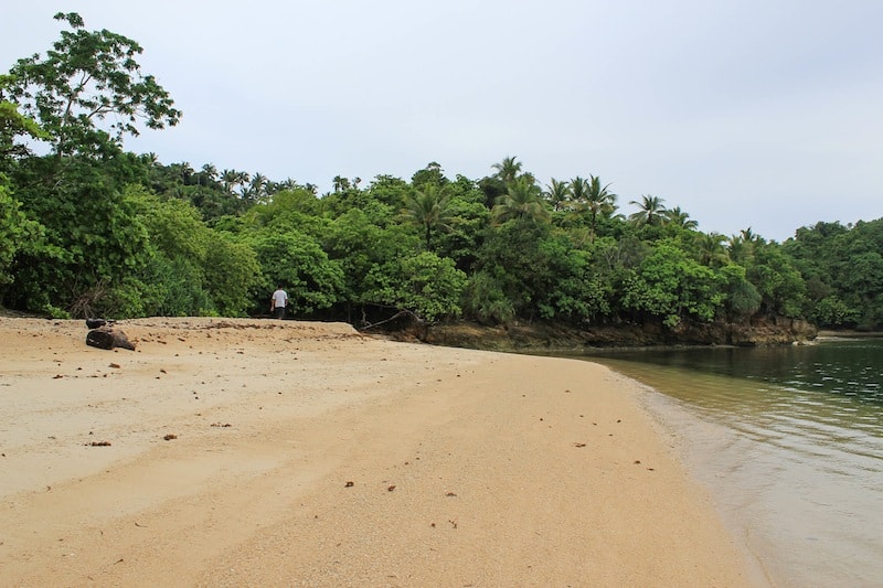 Turtle Beach, where turtles lay eggs