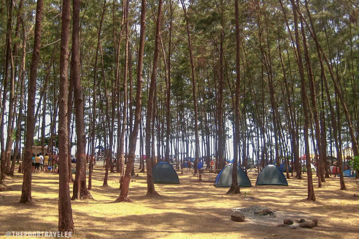 Anawangin Cove Tent Area