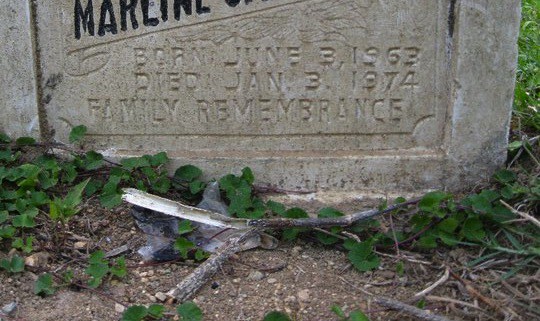 12 years old died