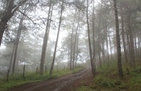 kiltepan sagada