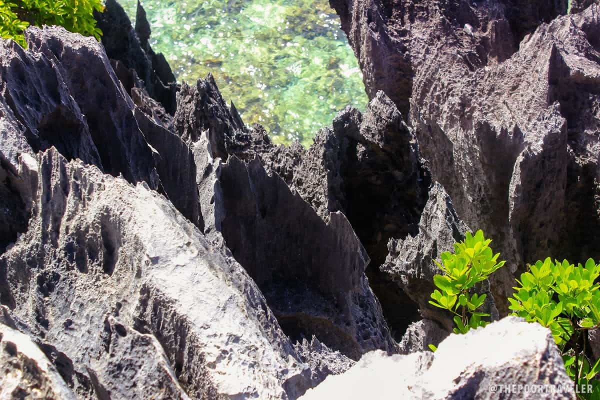 See how sharp and pointed the rocks are? One wrong move and…