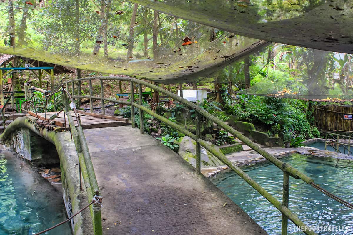 ardent hot spring