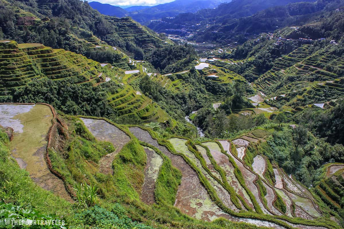 banaue rice terraces