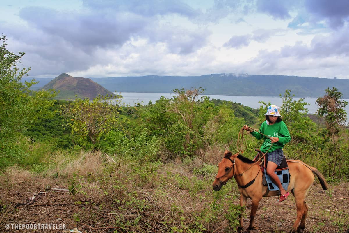 taal volcano horse