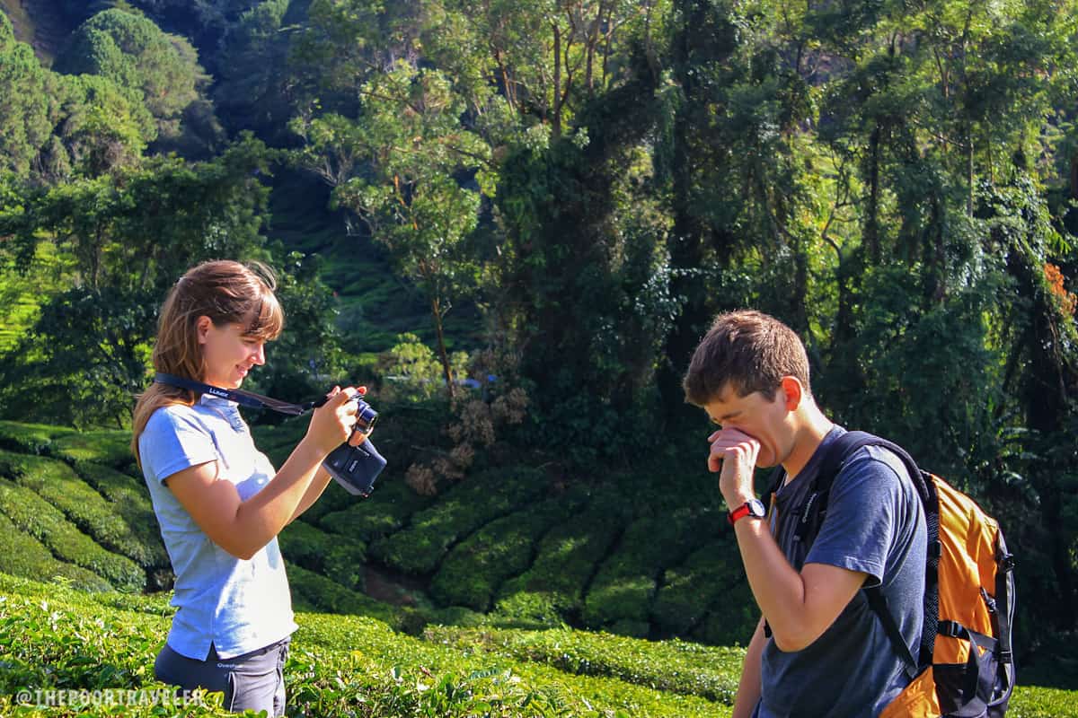 French lovebirds at a tea farm