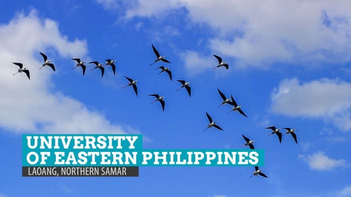 Birdwatching at University of Eastern Philippines: Laoang, Northern Samar