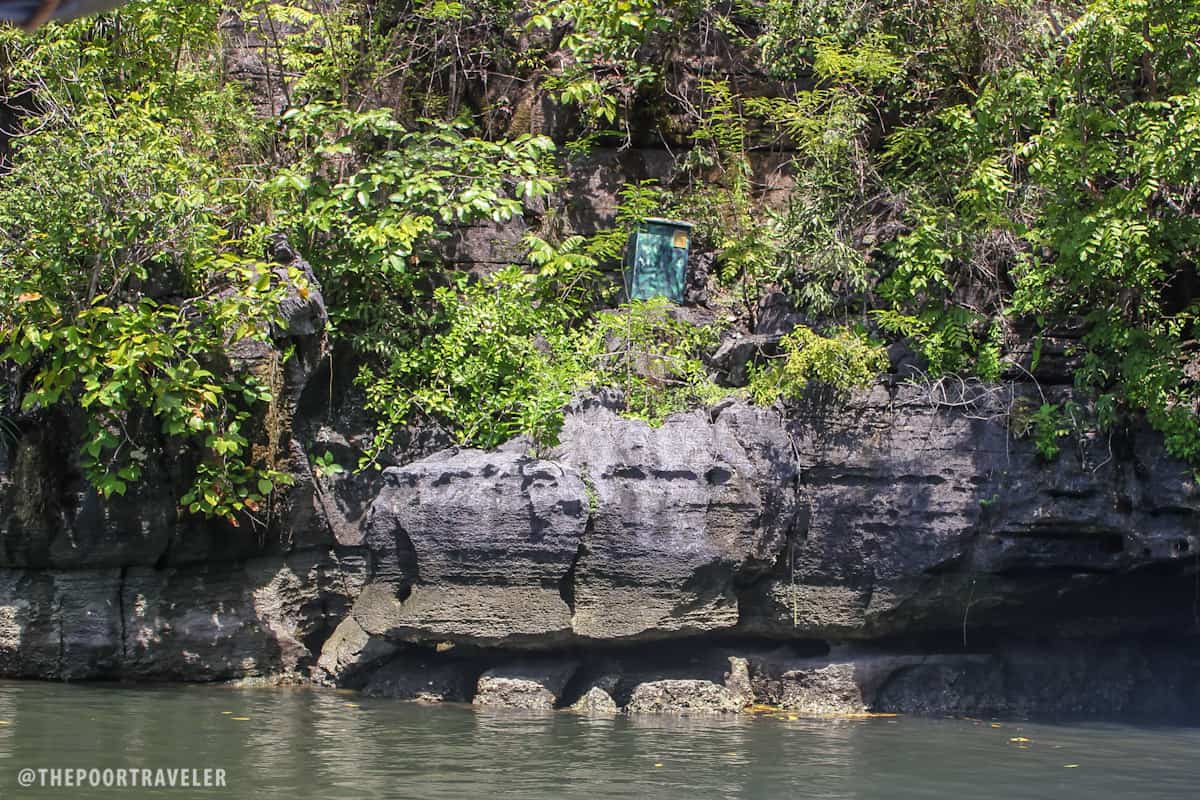 crocodile cave kilim river langkawi malaysia