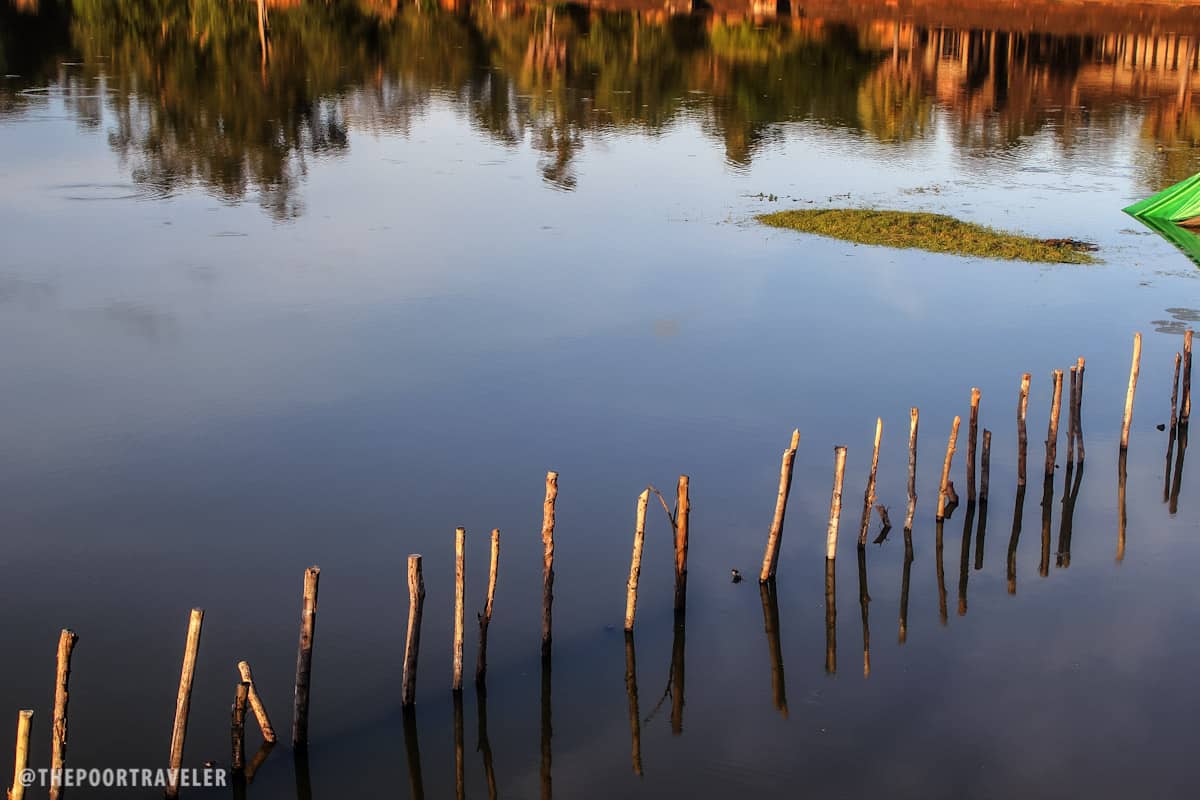 lotus lake angkor wat