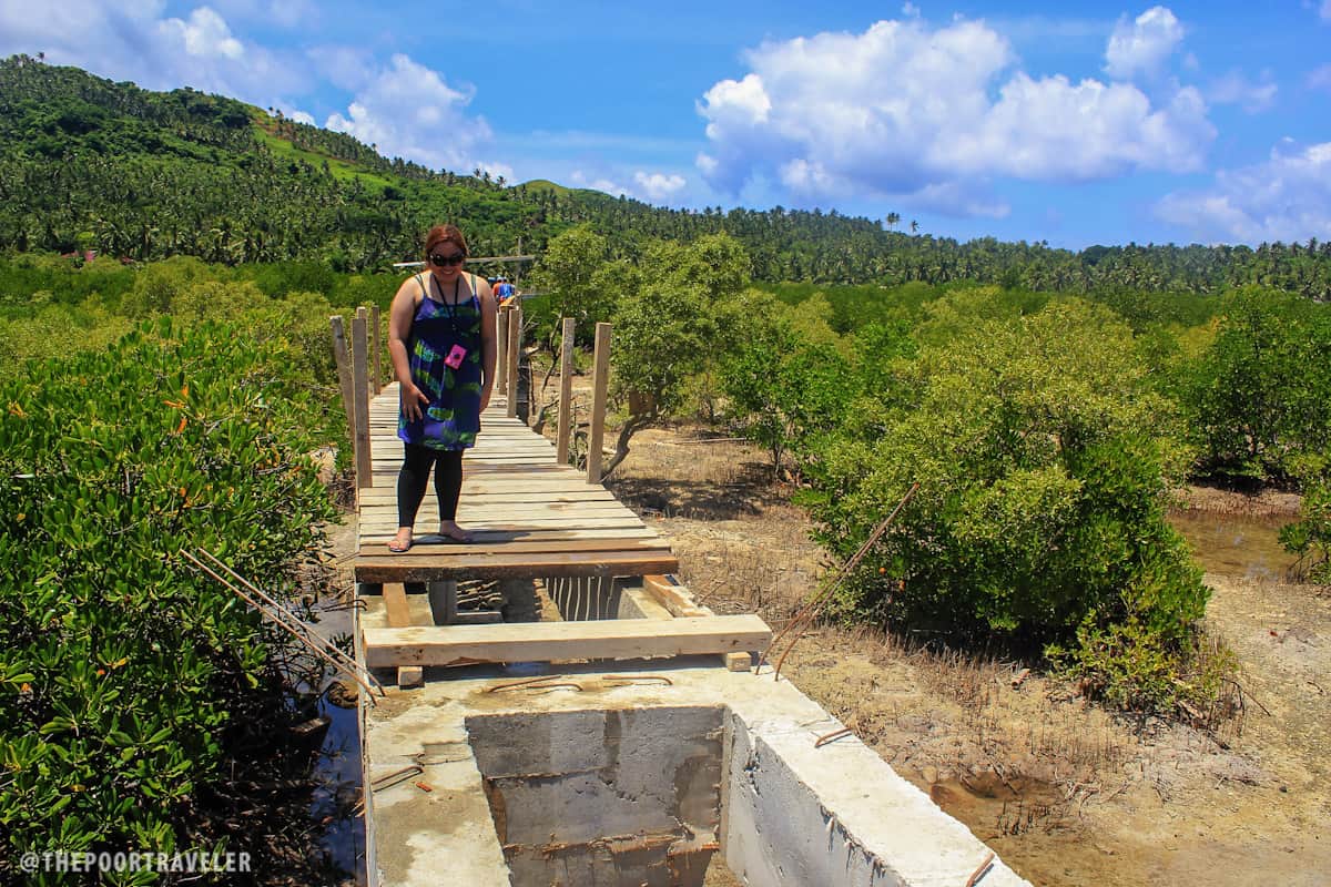 progress bridge biri island northern samar