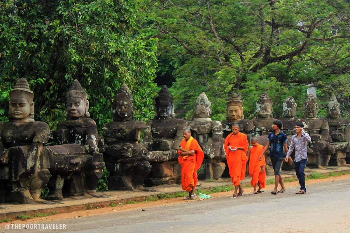 travel fish siem reap