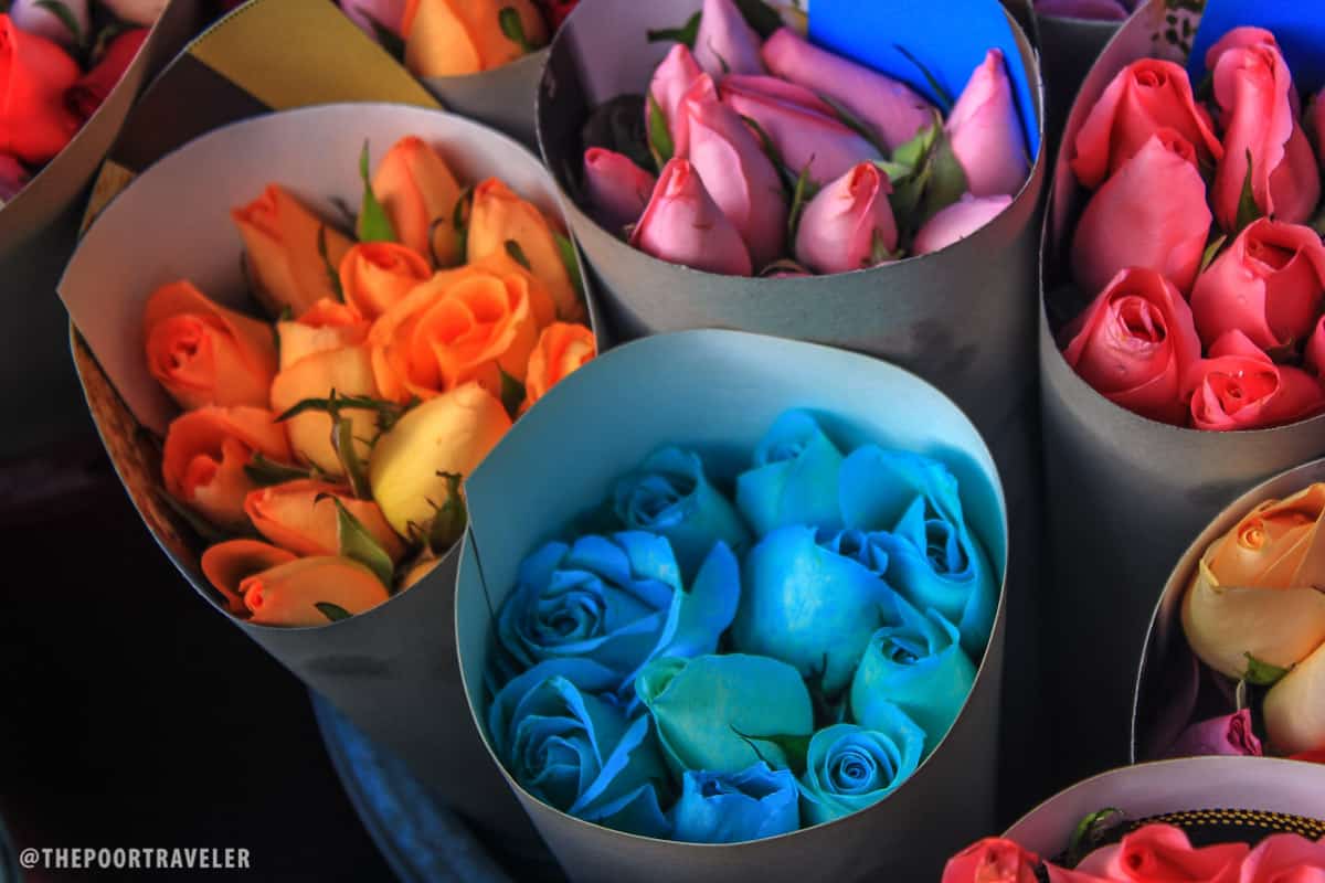 blue roses