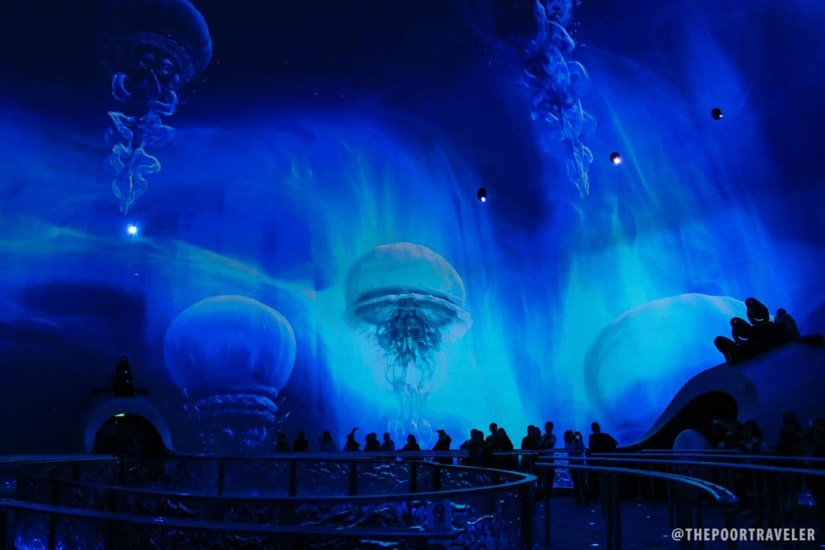 jellyfish bubble show city of dreams