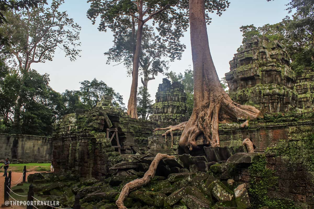 ta prohm cambodia