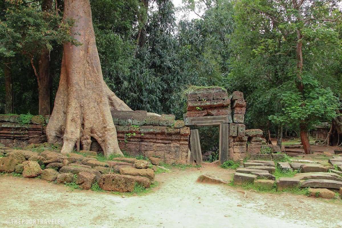 ta prohm magic portal angkor