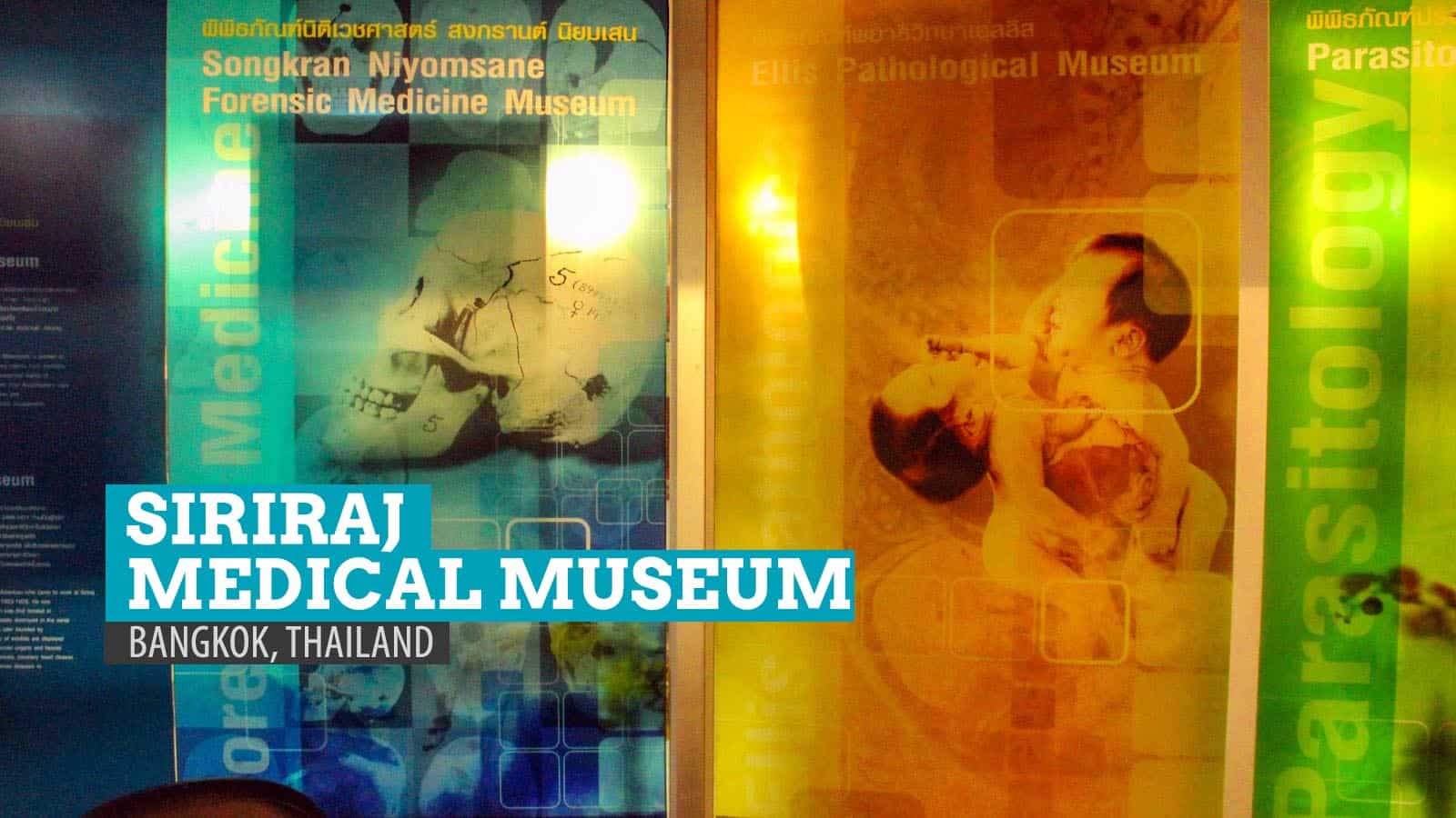 Siriraj Medical Museum: Freaky Forensics and Deathly Displays