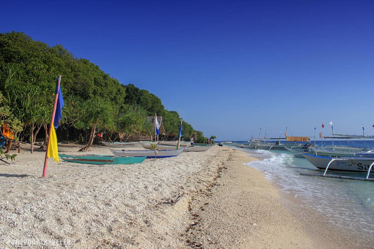 balicasag island bohol