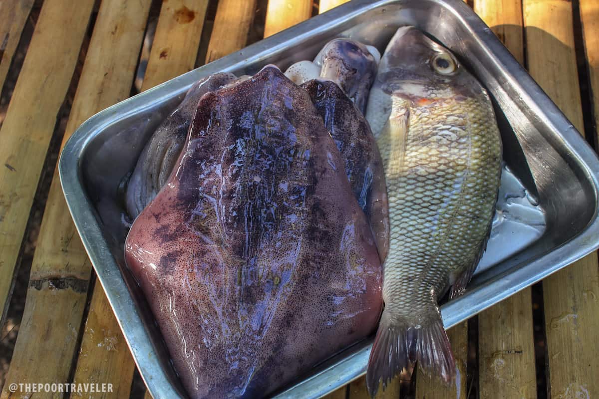 balicasag island sea food