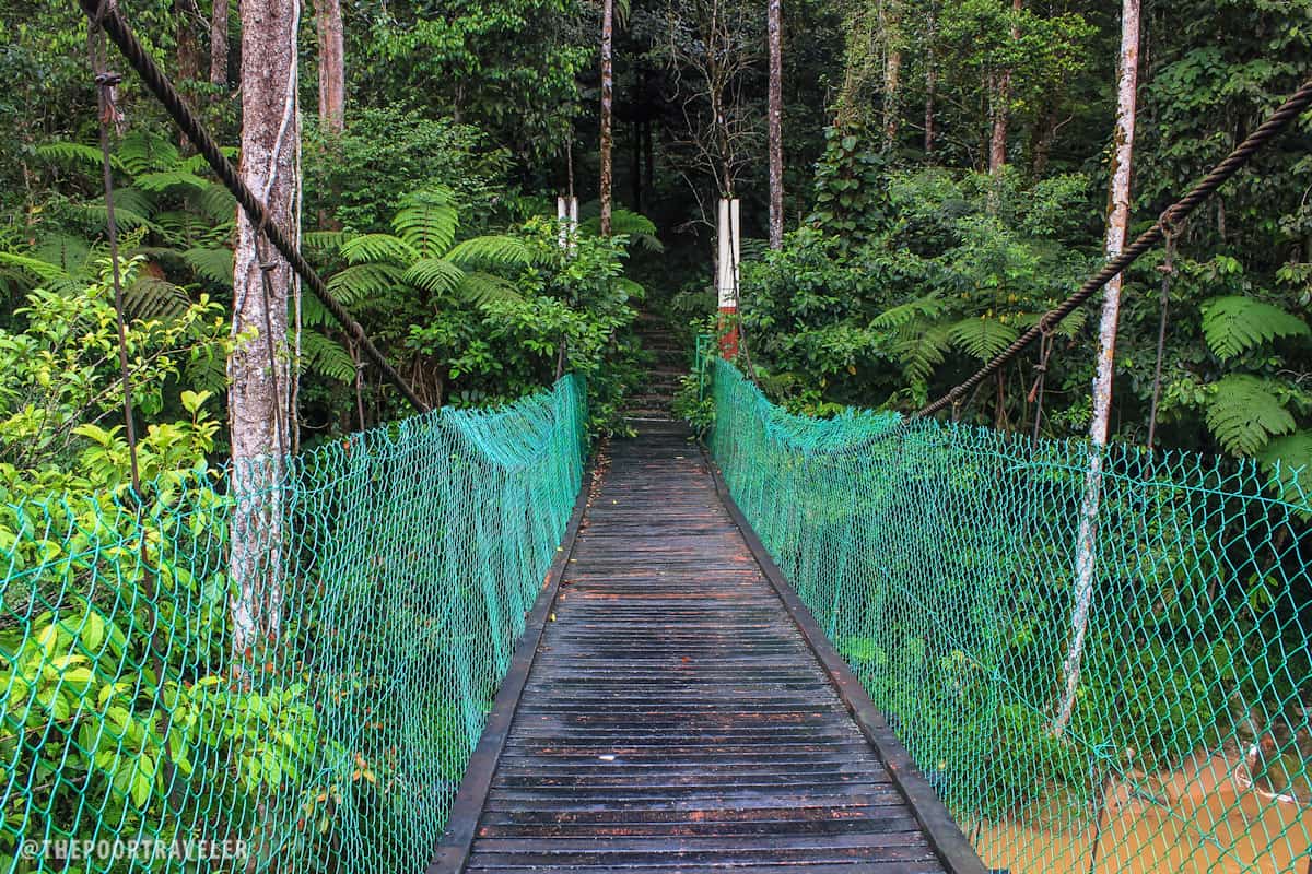 cameron highlands jungle trail