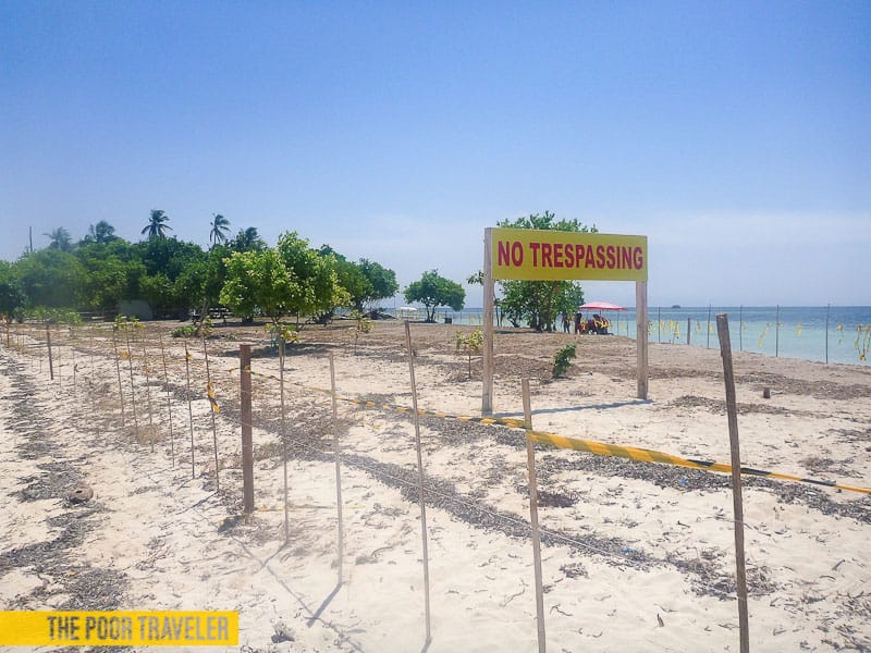 virgin private island bohol