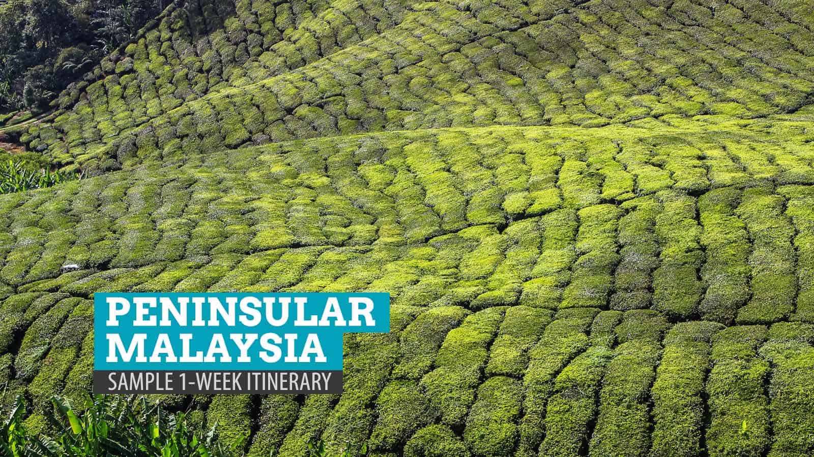 Peninsular Malaysia: Sample 1-Week Itinerary