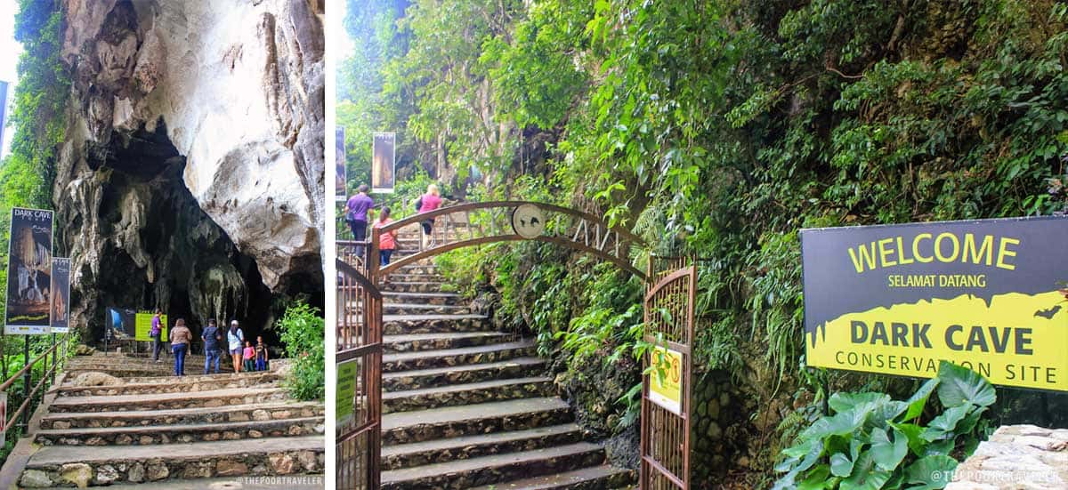 Dark Cave Conservation Site