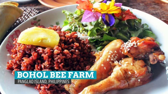 Bohol Bee Farm: A Bee-autiful Dining Experience in Panglao Island