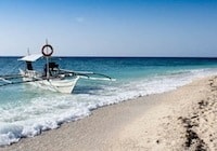 Balicasag Island (Dolphin Watching and snorkeling)