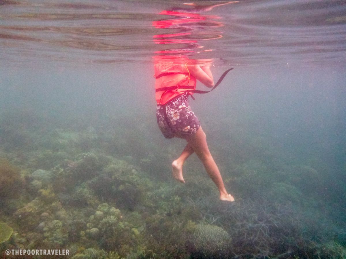 coron coral garden