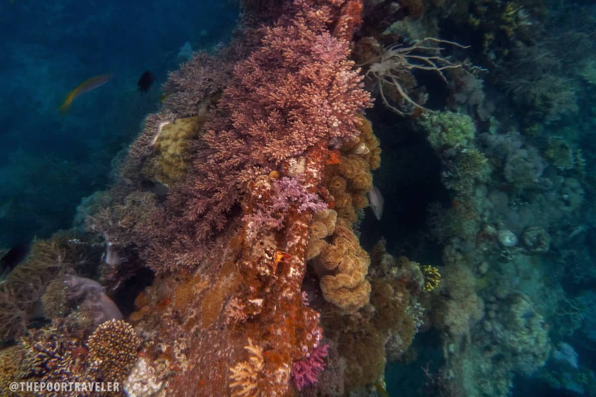 lusong shipwreck coron palawan