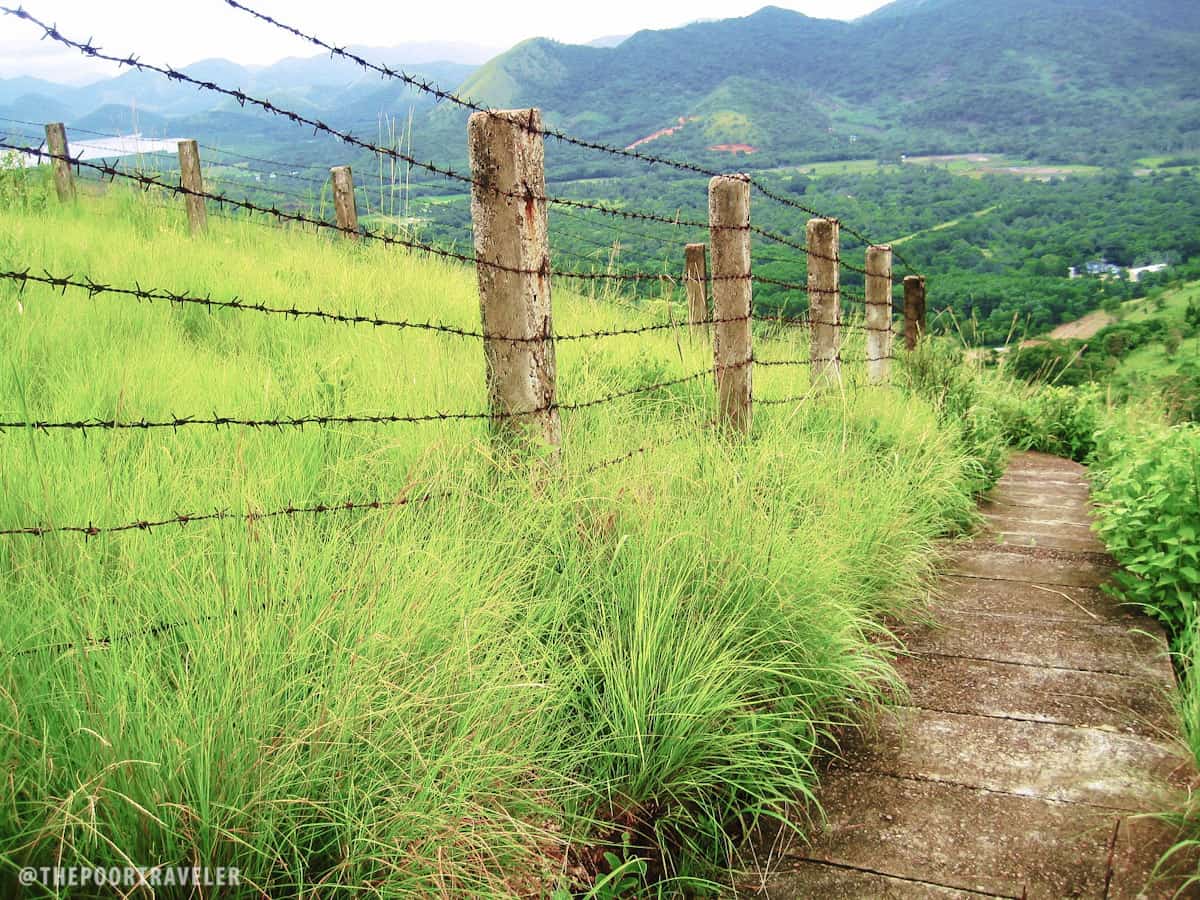 My picture of Mt. Tapyas in 2009. The green was saturated here in the photo.